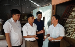 Tự hào Nông dân Việt Nam 2023: Bắc Giang xây dựng thương hiệu HTX, đưa nông sản vào các khu công nghiệp
