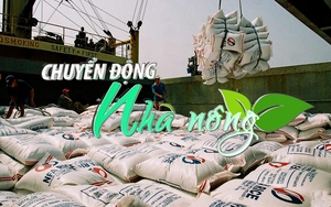 Chuyển động Nhà nông 12/10: Thị trường gạo đối mặt với nhiều căng thẳng hơn khi El Nino bắt đầu có ảnh hưởng