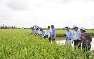 Có khuyến nông chỉ dẫn, thực hiện hơn 9.000 mô hình, nhà nông Nam Định làm ăn hiệu quả 