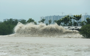 Từ nay đến hết năm 2023, trên Biển Đông có khả năng xuất hiện khoảng 2- 3 cơn bão/áp thấp nhiệt đới