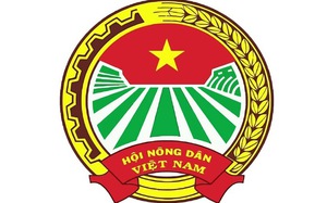 Toàn văn dự thảo Báo cáo chính trị trình Đại hội Đại biểu toàn quốc Hội Nông dân Việt Nam lần thứ VIII (2023- 2028)