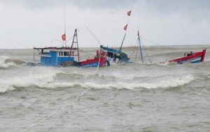 Nóng: Hai tàu câu mực ở Quảng Nam bị lốc đánh chìm ở khu vực Trường Sa, 15 ngư dân mất tích