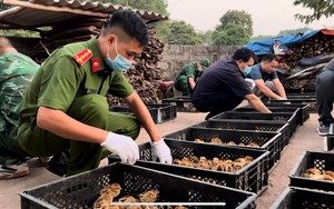 Nhập lậu gia cầm diễn ra ngang nhiên: Không kiểm soát được thì chăn nuôi trong nước chỉ có nước... chết