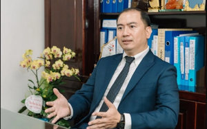 Luật sư Trương Anh Tú nói gì về việc &quot;buộc xin lỗi&quot; Công ty Vịnh Thiên Đường?