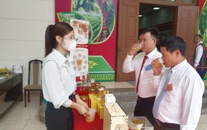 Trồng thành công nấm đông trùng hạ thảo bằng công nghệ cao ở Đắk Nông