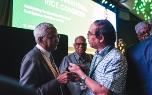 Ngưỡng mộ ngành lúa gạo Việt Nam, nhiều nước châu Phi mong muốn hợp tác sâu rộng lĩnh vực nông nghiệp