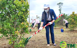 Quảng Ngãi chi nhiều trăm triệu “may áo” cho đất trống hành lang giao thông, trụ sở, trường học