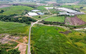 Đắk Lắk: Khẩn trương thu hồi hơn 1.000ha đất tại dự án của Công ty Sao Đỏ