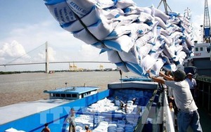 170 DN đủ điều kiện xuất khẩu gạo, bán gạo 9 tháng năm 2023 tăng cả lượng và kim ngạch