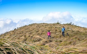 Ngọn núi cao 2913m so với mặt nước biển ở Yên Bái, tha hồ săn mây, cảnh đẹp như phim, người ta đang lên xem
