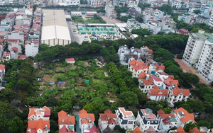 Hiện trạng 4 lô đất rộng hơn 5 hec-ta dùng để xây trường học tại quận đông dân nhất Thủ đô