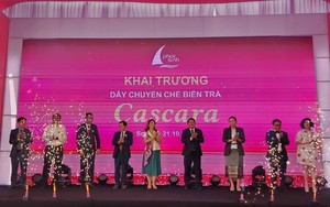 Phúc Sinh Sơn La khai trương dây chuyền chế biến trà từ vỏ cà phê quy mô lớn nhất tại Việt Nam