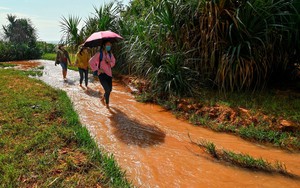 Bình Thuận có vô số sông, suối, vì sao con suối nông choèn, chả thấy ai tắm lại nổi tiếng mạng xã hội?