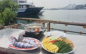 Cá ba gai là loài cá gì mà ở Quảng Ninh đem nấu mẻ, thơm phức lại bổ dưỡng, trời lạnh ăn khỏe người?