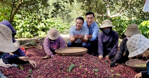 Chiêu “bán lược cho sư” của ông chủ cà phê nông sản
