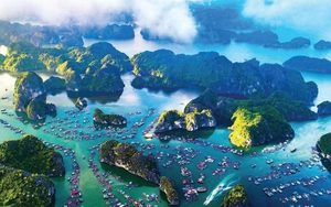 Toàn cảnh bức tranh bảo tồn biển ở Việt Nam