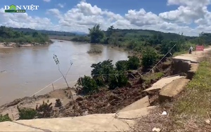 Video: Sông Krông Nô sạt lở nghiêm trọng, cuốn trôi cả đường bê tông ở Đắk Nông