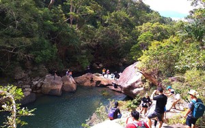 Một đầm nước đẹp như phim ở Khánh Hòa, bất ngờ có  các hòn đảo, hoa phong lan, dòng suối, rừng ngập mặn