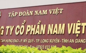 Nam Việt (ANV): Thoát lỗ quý III/2023, lợi nhuận 9 tháng &quot;bốc hơi&quot; 90%