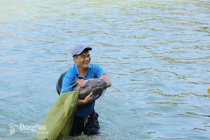 TIN KHẨN: Thủy điện Hòa Bình sẽ đóng liên tiếp 2 cửa xả đáy vào lúc 10h00 và 16h00 hôm nay (12/8) - Ảnh 5.