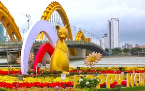 Đà Nẵng chi 20 tỷ đồng trang trí cảnh quan đón Tết 2024