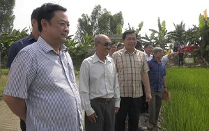 Bộ trưởng Bộ NNPTNT Lê Minh Hoan gửi thư chúc mừng 30 năm Khuyến nông Việt Nam