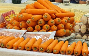 UBND tỉnh Hải Dương và Bộ Công Thương tổ chức hội nghị kết nối tiêu thụ cà rốt-một nông sản chủ lực
