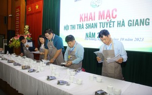 Hà Giang: Hội thi của những người làm trà Shan tuyết