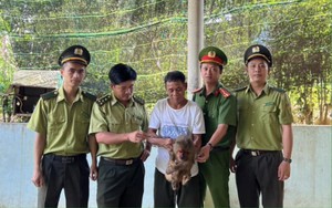 Thừa Thiên Huế: Người dân liên tiếp giao nộp động vật hoang dã quý hiếm cho kiểm lâm