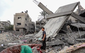 Hơn 8.000 người đã thiệt mạng vì xung đột tại Dải Gaza 