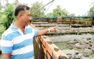 Agribank đồng hành cùng nông dân nuôi cá sấu tại Kiên Giang
