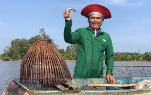 Độc lạ: Nông dân bì bà bì bõm thi đẩy côn bắt cá đồng mùa nước nổi ở miền Tây