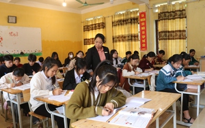 Lào Cai: Tuyển thêm hơn 700 giáo viên năm học 2023 - 2024