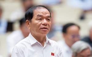 Đại biểu Quốc hội Lê Thanh Vân: Chủ nhiệm Ủy ban Kiểm tra Tỉnh ủy Bắc Ninh có dấu hiệu của "tứ ệ" không?