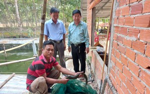 Nuôi cá chạch lấu ở một nơi của Tây Ninh, nhiều nông dân đến tham quan, học tập, ai cũng phục lăn