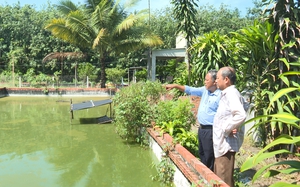 Nông dân Tây Ninh nuôi ba ba thành triệu phú từ nguồn vốn Quỹ Hỗ trợ nông dân