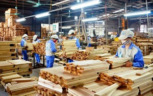 Doanh nghiệp Phần Lan tìm hiểu cơ hội đầu tư vào lĩnh vực chế biến gỗ tại Thừa Thiên Huế 
