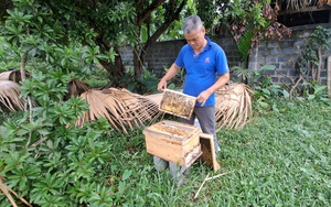 Nuôi con vật chả phải cho ăn, chăm kiểu gì mà ông nông dân Thái Nguyên hễ bán mật là hết sạch?