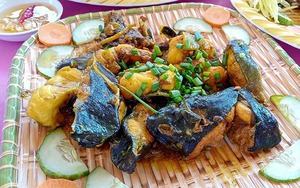 Một trong 3 đầm phá lớn nhất nước ta là ở Bình Định, có loài cá bổ dưỡng nấu kiểu gì cũng ra đặc sản