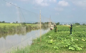 Sau phản ánh của Dân Việt, gần 2.000 mét lưới, 7 túp lều bẫy chim hoang dã ở Ninh Bình bị tháo gỡ