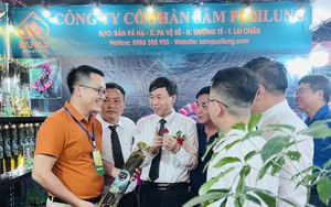 12 gian hàng sâm tham gia Hội chợ công thương vùng Tây Bắc - Lai Châu 2023