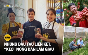 Những đầu tàu liên kết, 'kéo' nông dân làm giàu