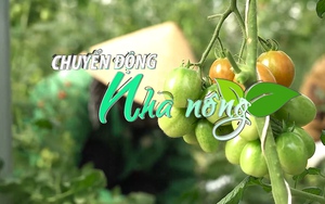 Chuyển động Nhà nông 8/10: Chỉ trong tháng 9, xuất khẩu rau quả tăng 160%