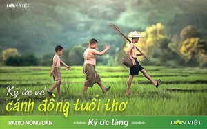 Ký ức về cánh đồng tuổi thơ