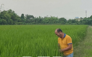 Một mình cấy 40ha lúa với giàn máy móc hỗ trợ, anh nông dân Thái Bình thu 280 tấn thóc/năm