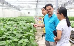 Kiến nghị cơ chế, chính sách để Hội Nông dân Việt Nam trực tiếp tham gia phát triển kinh tế tập thể trong nông nghiệp