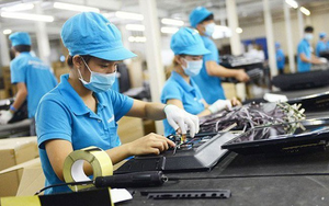 EuroCham: Việt Nam vào top 10 điểm đến FDI hàng đầu thế giới