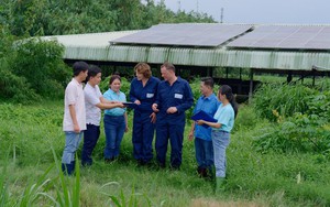 Lần đầu tiên, nông dân Việt Nam được học cách chăn nuôi bò sữa bền vững theo kinh nghiệm Hà Lan