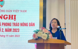 Phó Chủ tịch Hội NDVN Bùi Thị Thơm chủ trì hội nghị tổng kết cụm thi đua số 2 tổ chức tại Hưng Yên