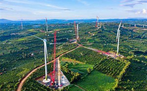 "Ông trùm" điện gió Trung Nam tiếp tục chậm thanh toán hơn 51 tỷ đồng lãi trái phiếu